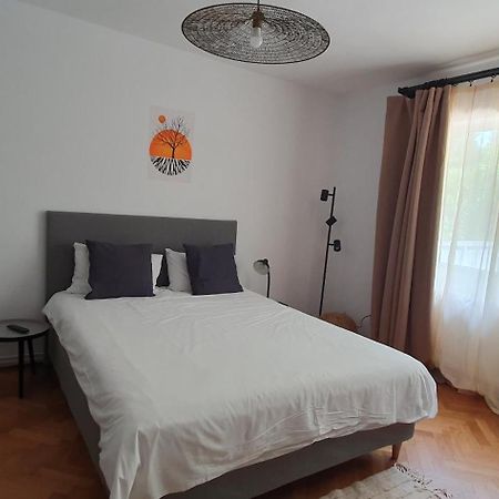 The Pines Serviced Apartments Brasov Exterior photo